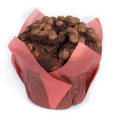 Muffin Choco Chips(6pcs)